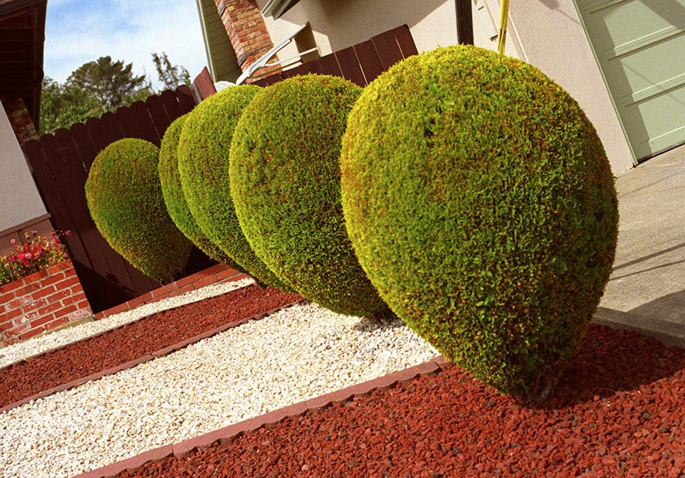 Suburbia Series