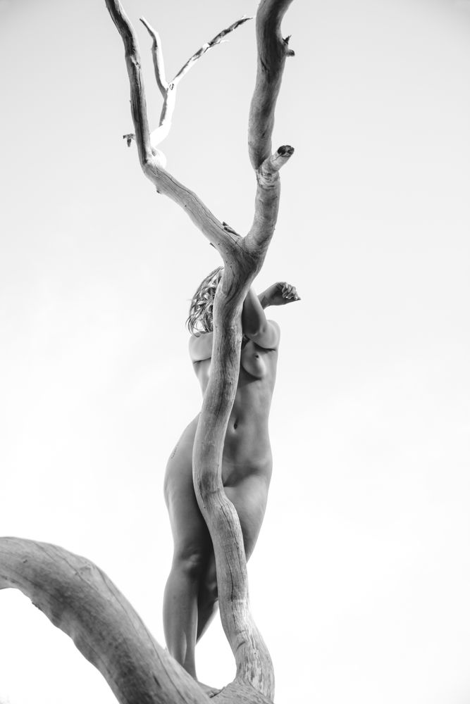 Human Nature