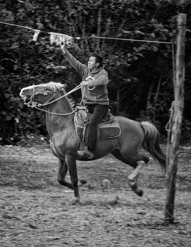 The Rider and his horse. - El Jinete y su cabal.