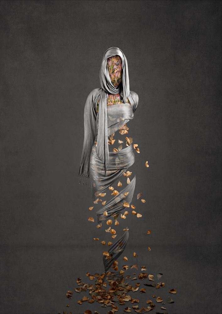 A collection of images exploring the human condition