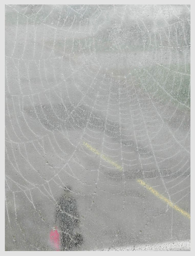 Submission Art Photography