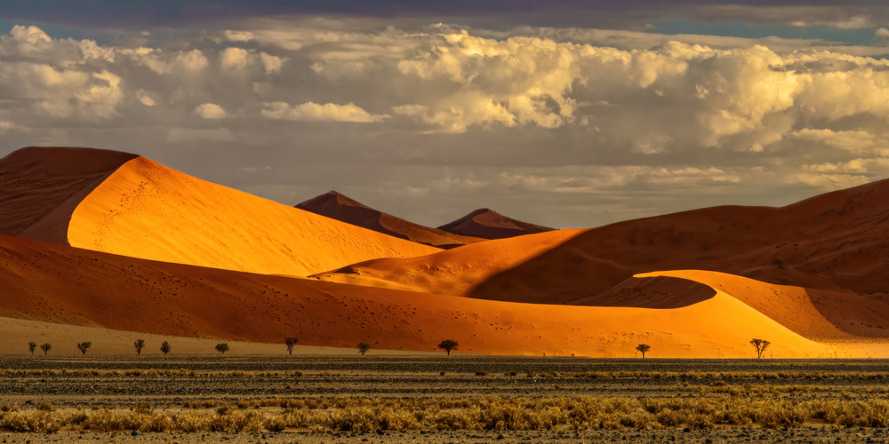 Sand Forms