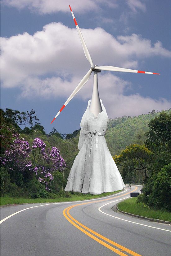 Carcaças