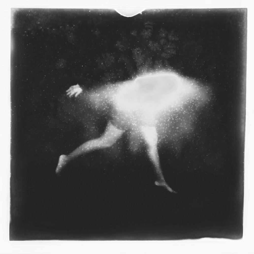 Polaroid