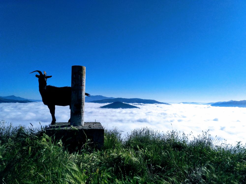 Enjoying Homeland - Basque Country