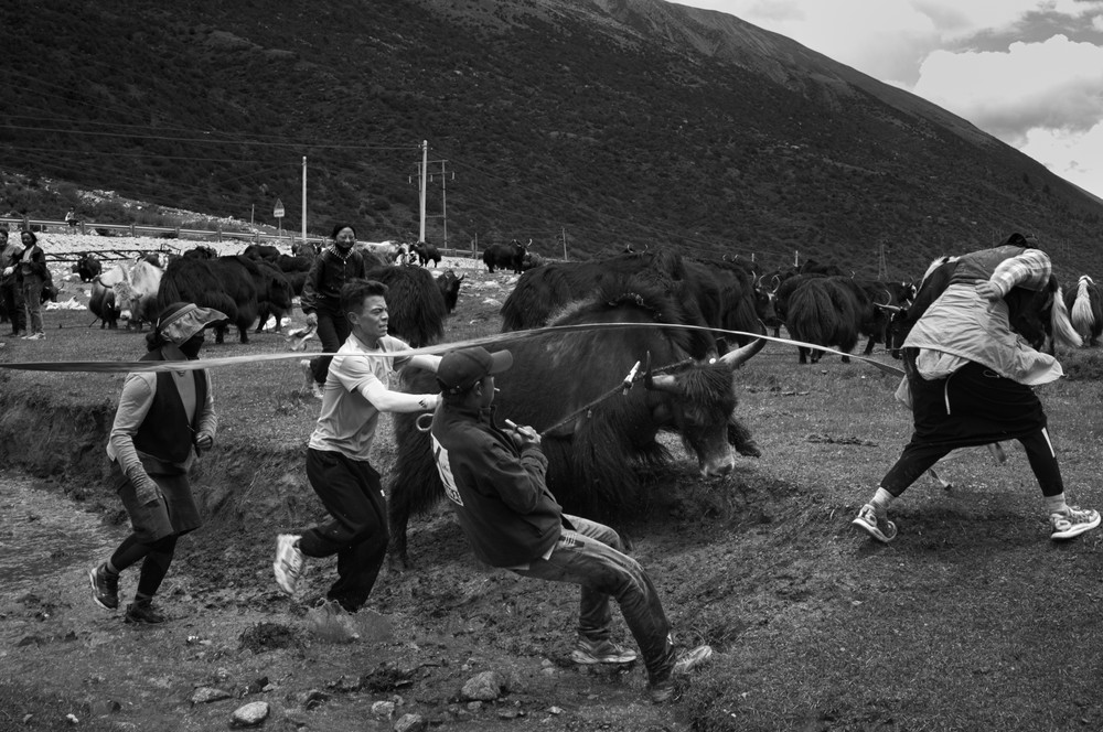 Sichuan