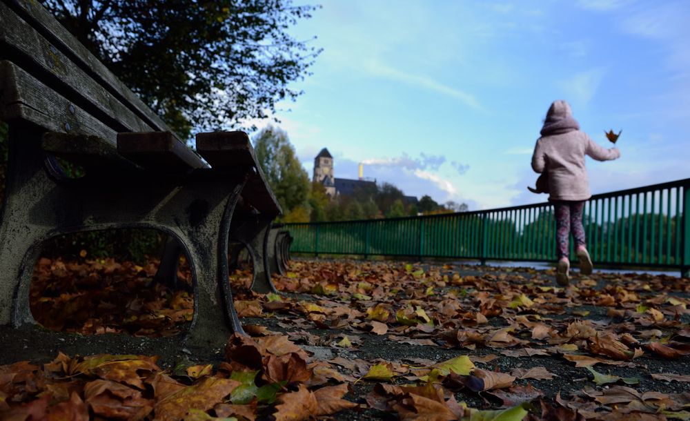 autumn