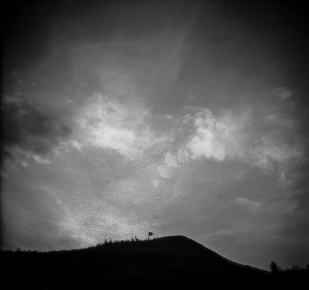 Your Soul is a Dark Forest