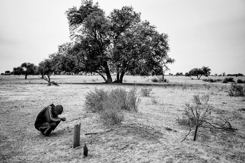 Land Grabbing in Senegal