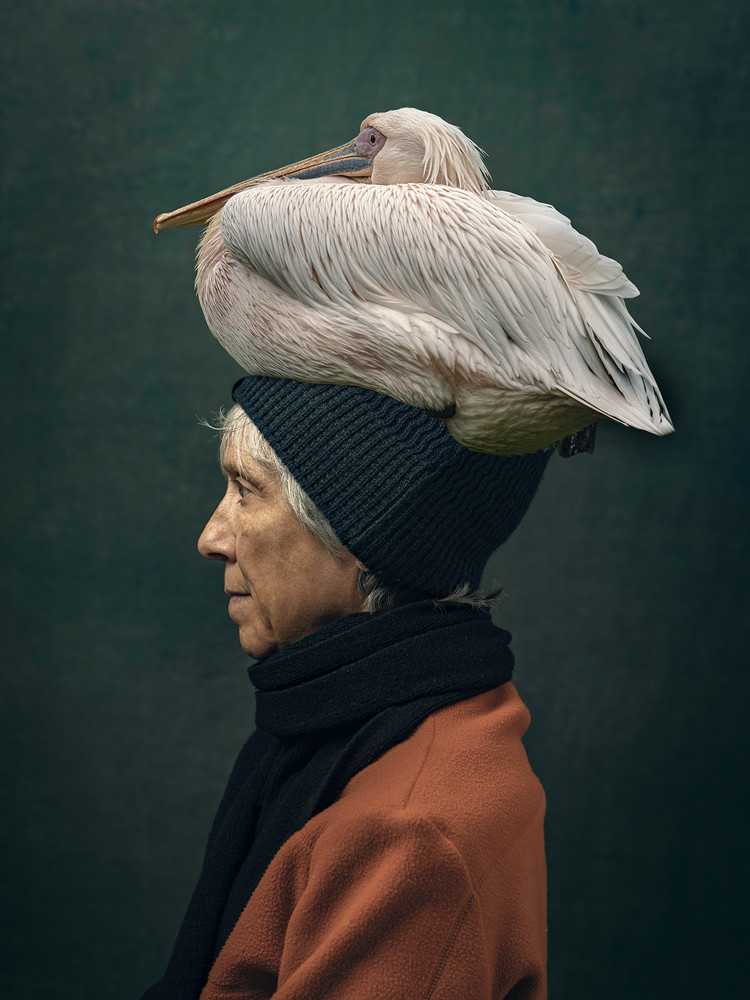 Portraits