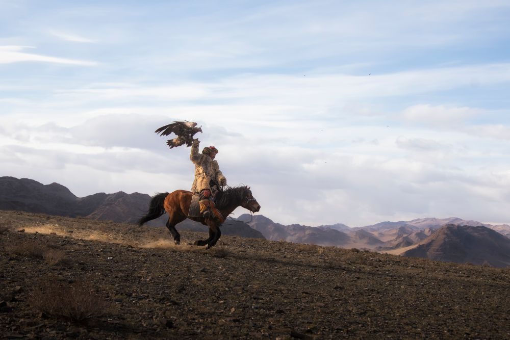 Golden Eagle Hunter