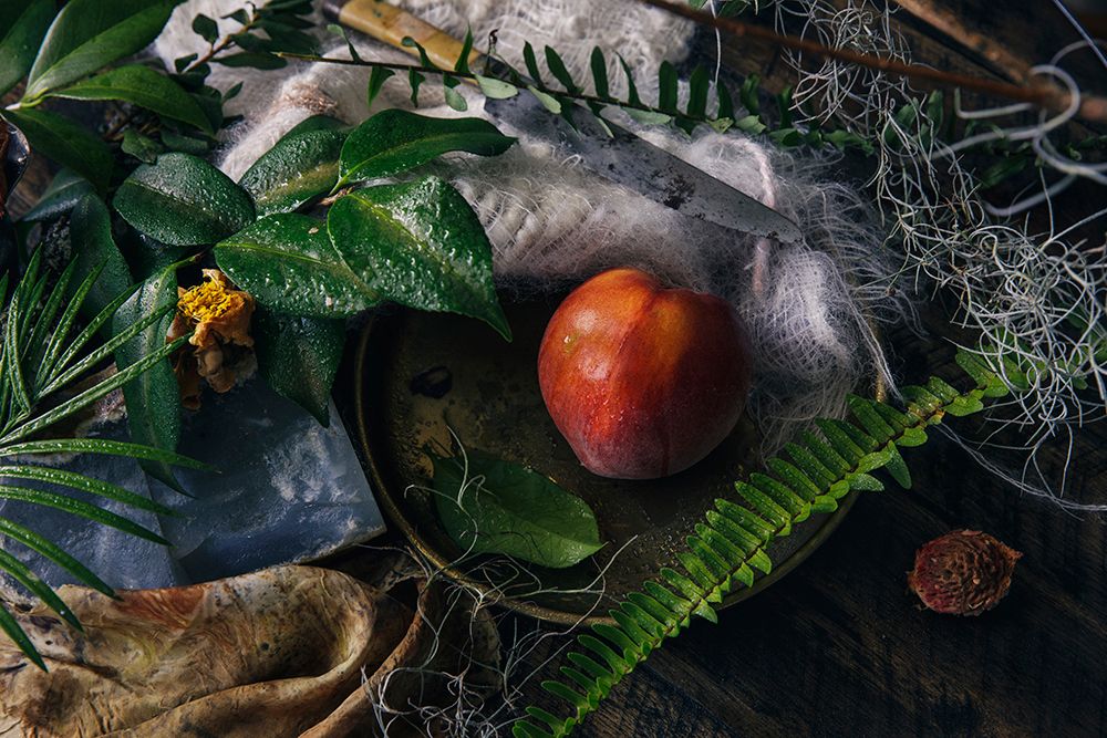 Experiences from the Outside World - Living Stills