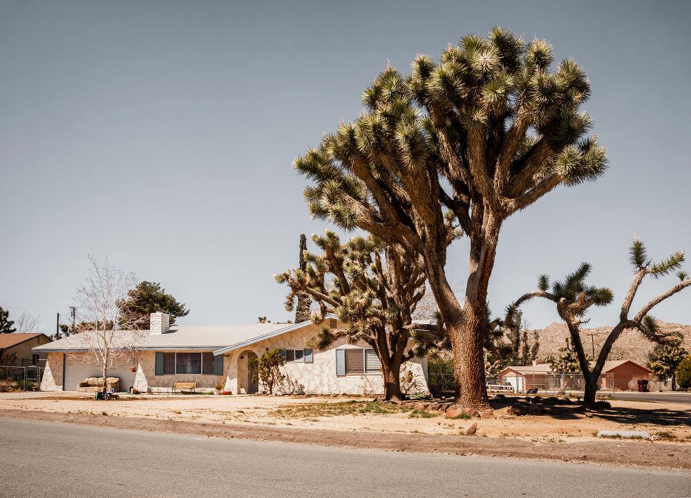 Mojave Desert: The Built Landscape