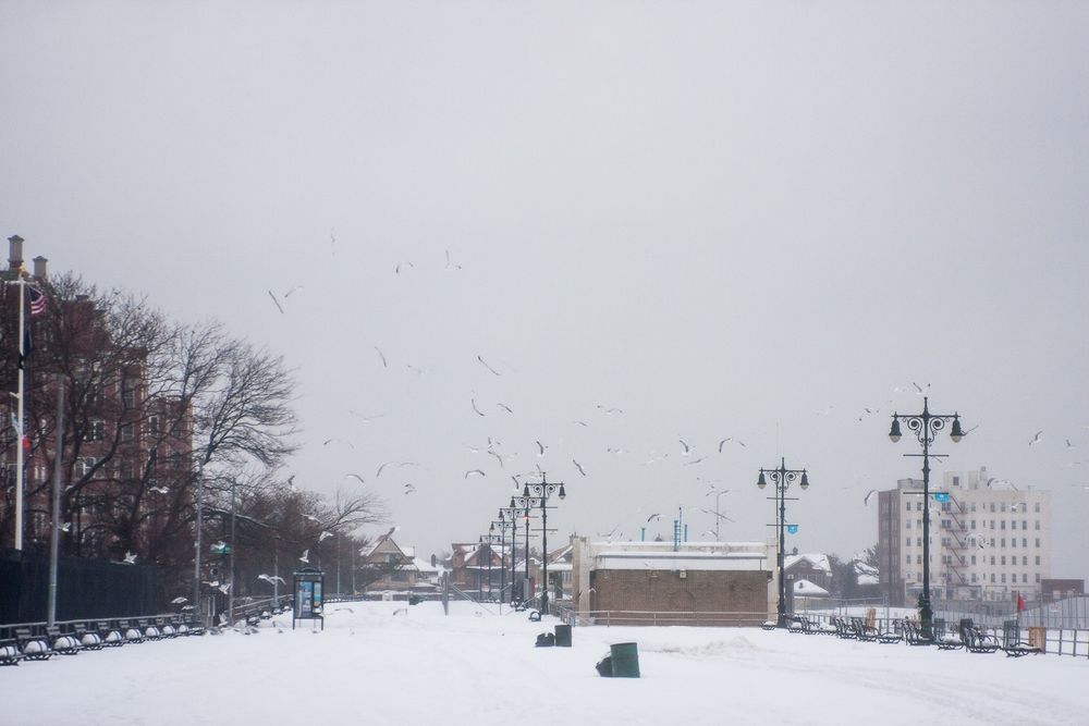 Nor'easter's Call