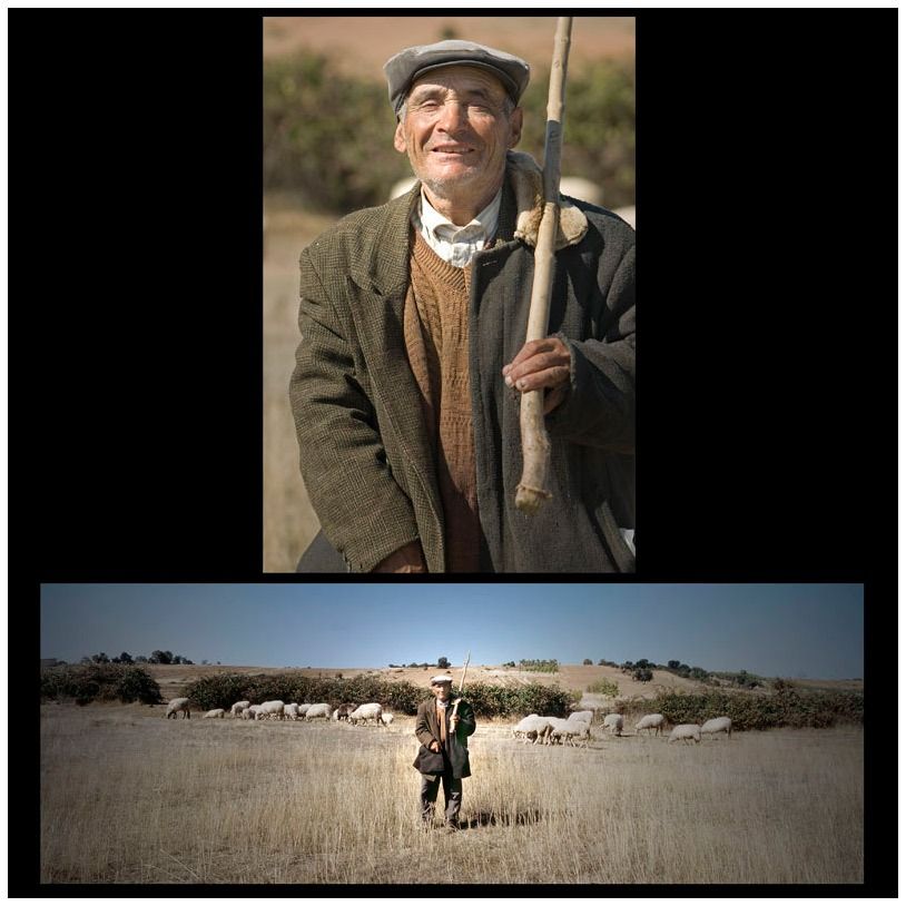 Sheperds in Portugal