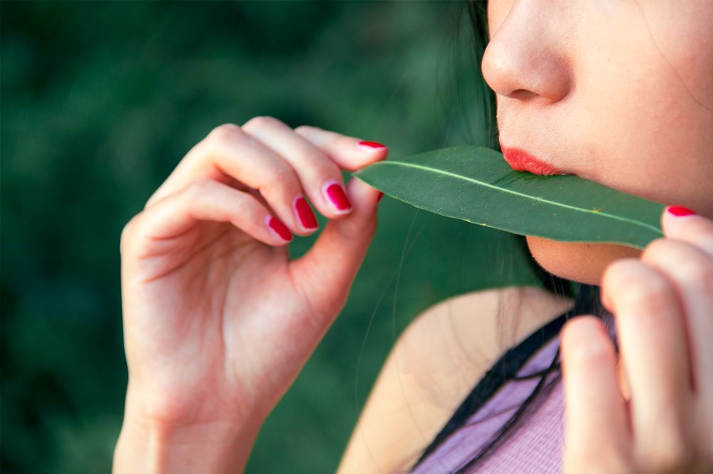 Untitled (by Jia Hao)