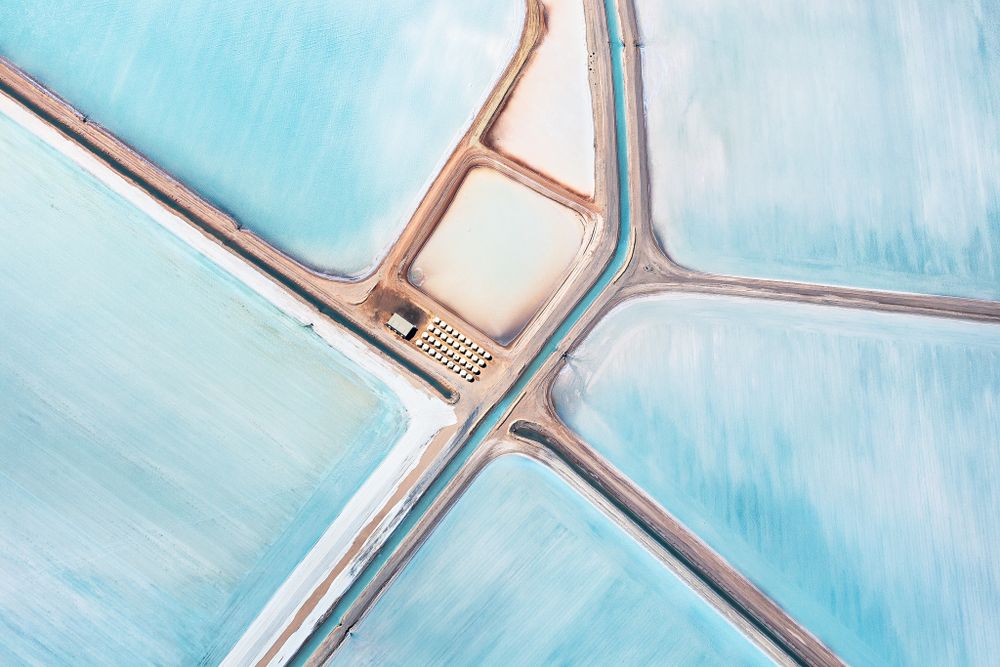 Blue Fields
