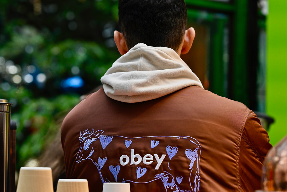 Once upon a Time there was an "obey" man
