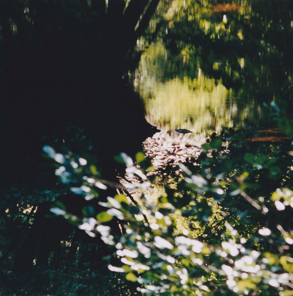 PASSING PICTURES ( PORTRAITS  EPHEMERES)
