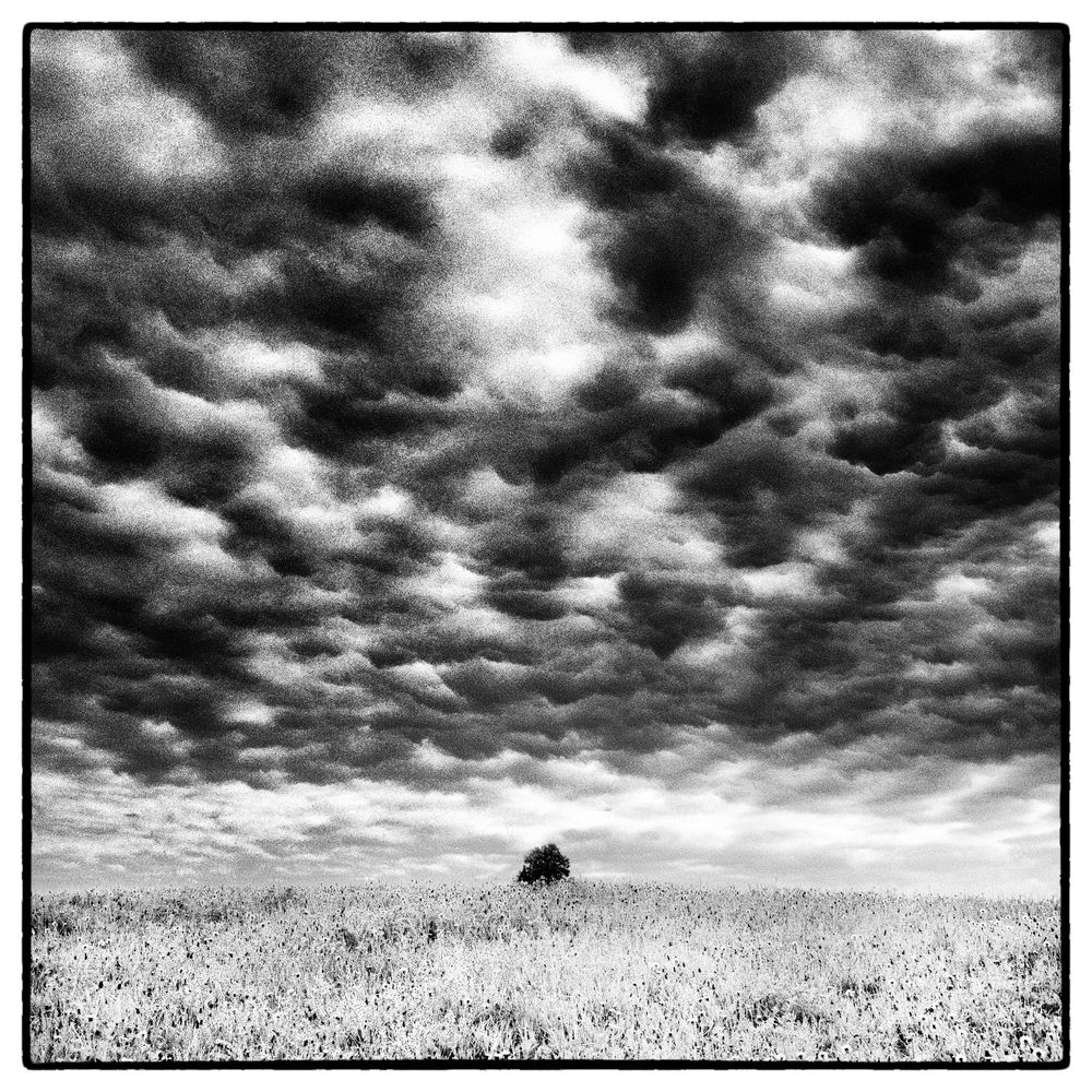 Invisible landscapes