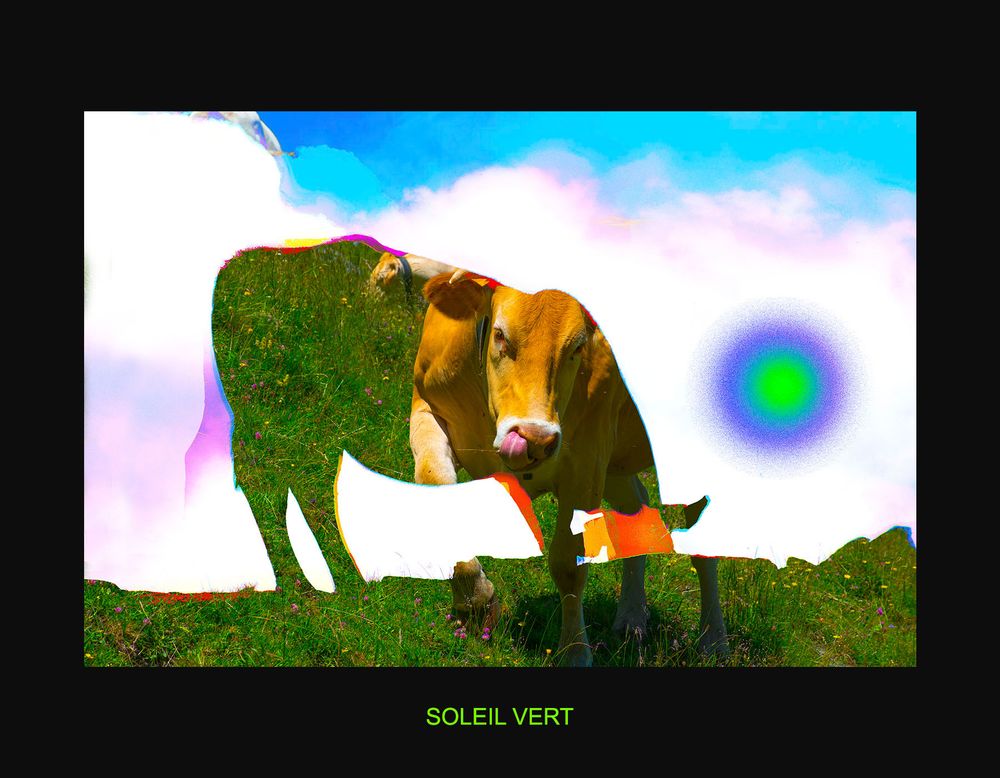 MAGIC COWS - VACHES IMPÉRIALES