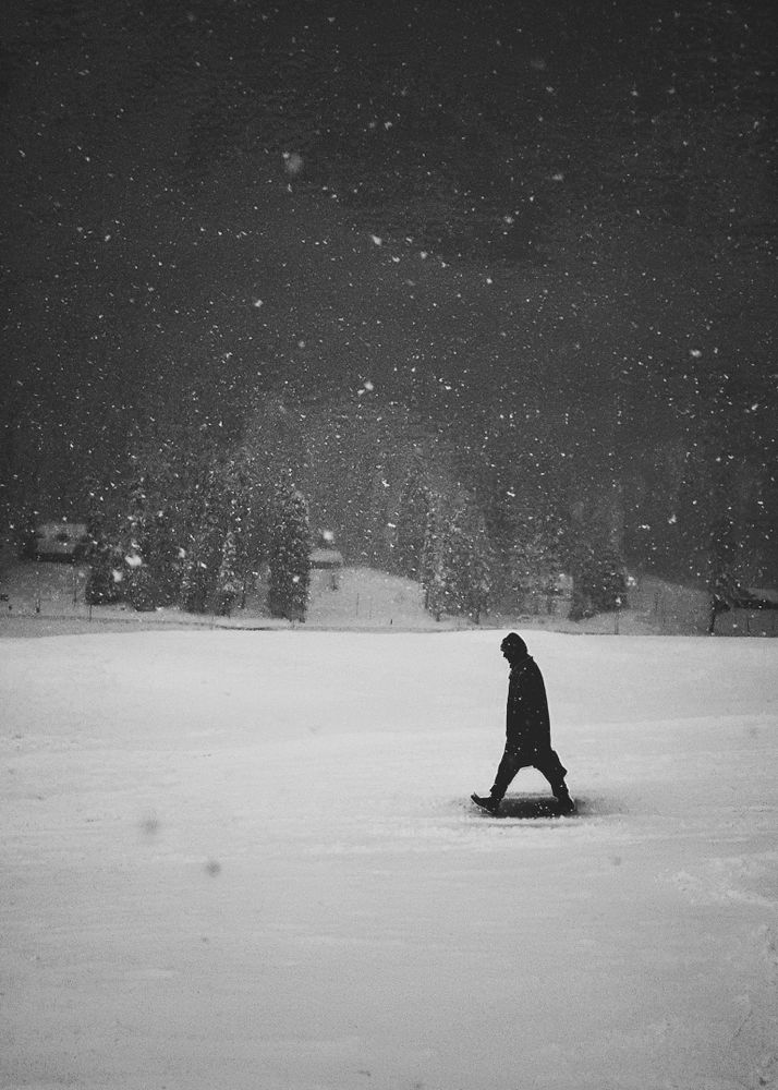 The ski trainer's dream