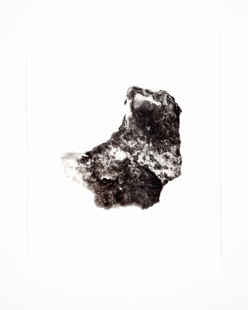 Driven Snow, 2011