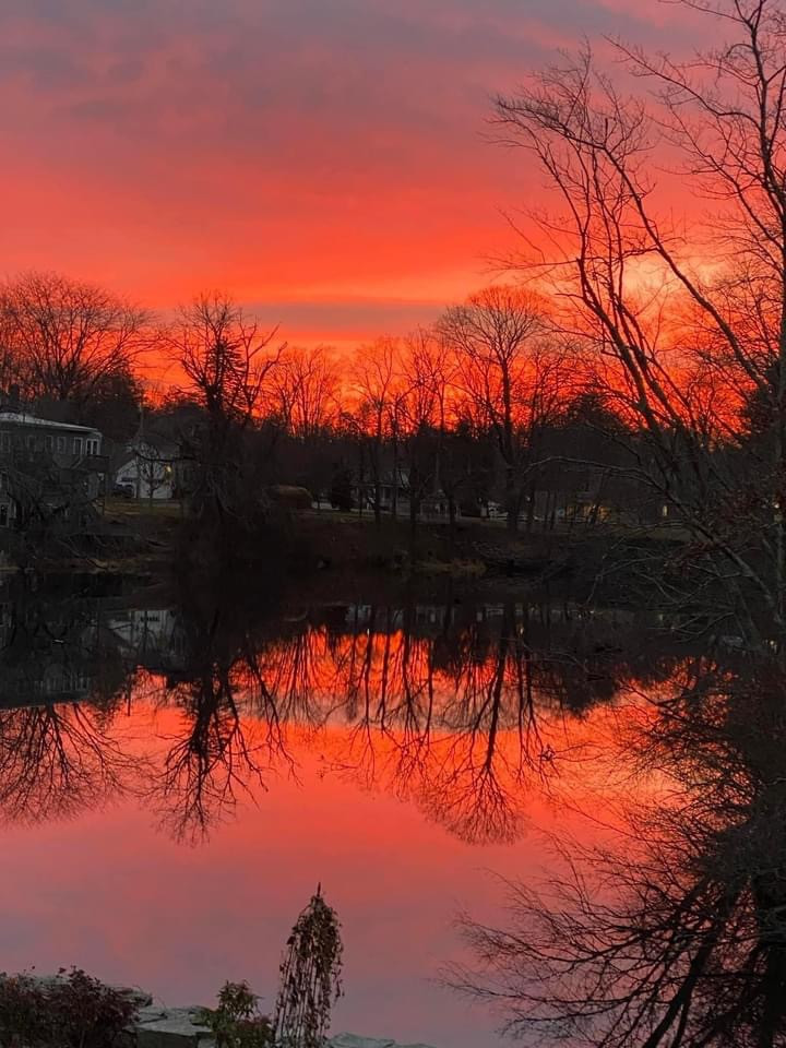 The pond behind our house