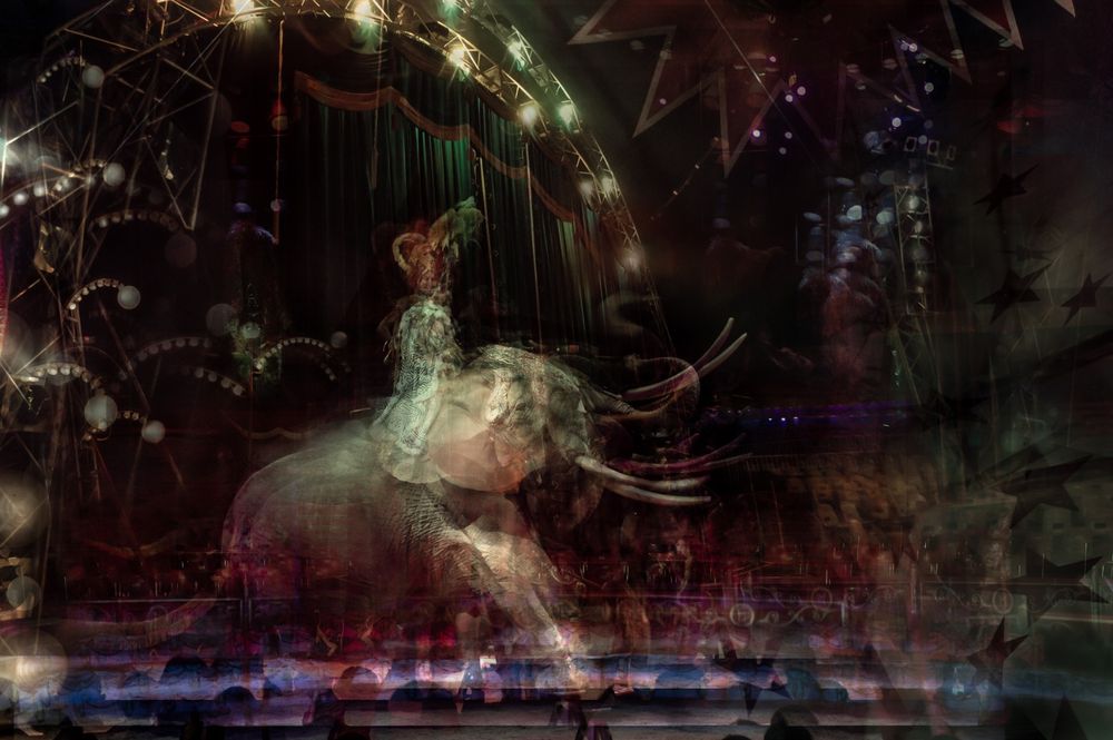 Circus series