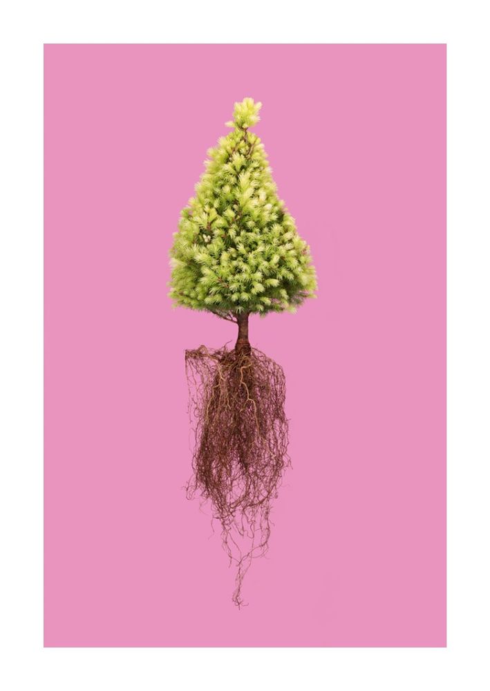 New Botanicals