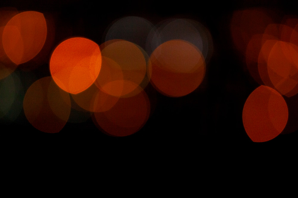 While We Light