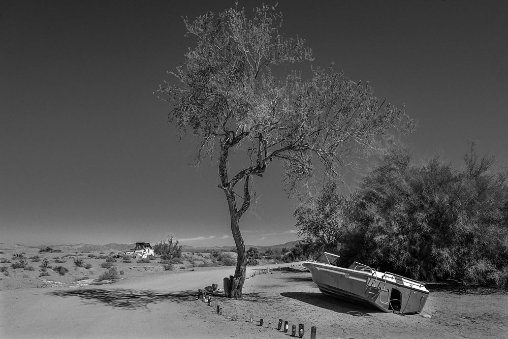 Forty Days in The Desert