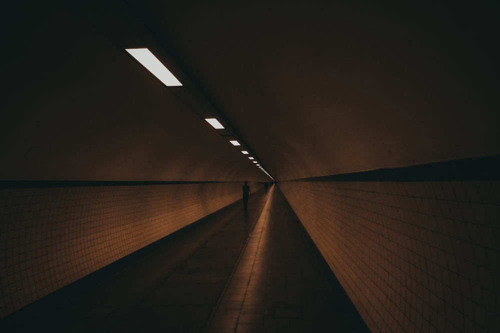 hunt for light