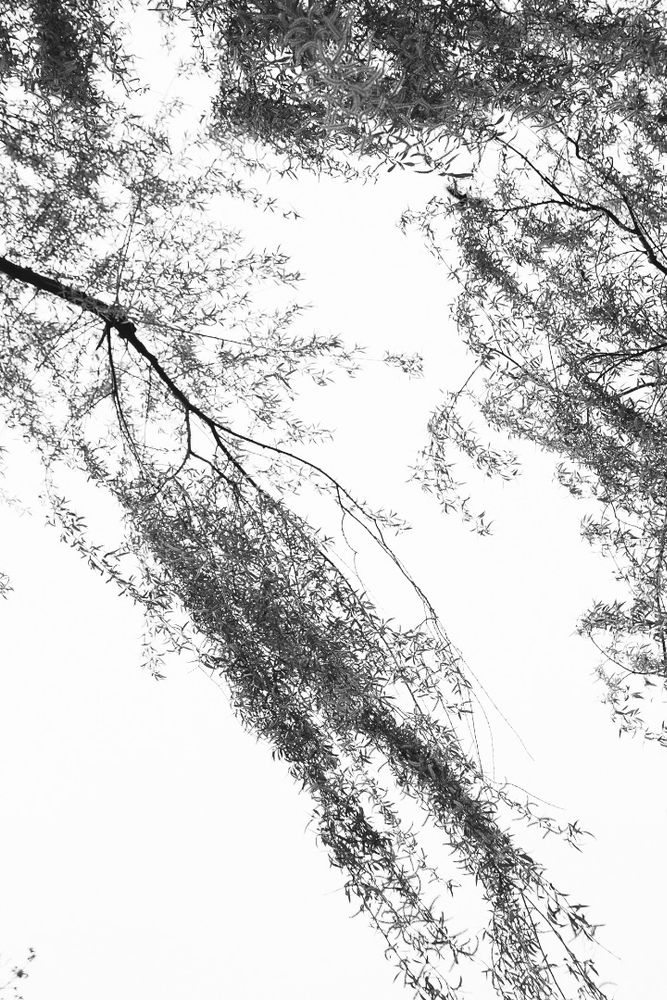 Words of nature