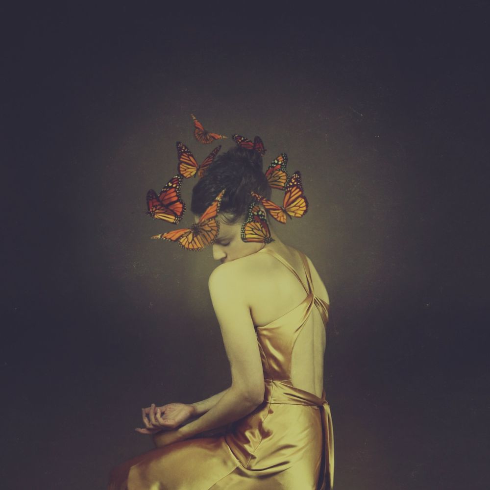 From The Same Cocoon