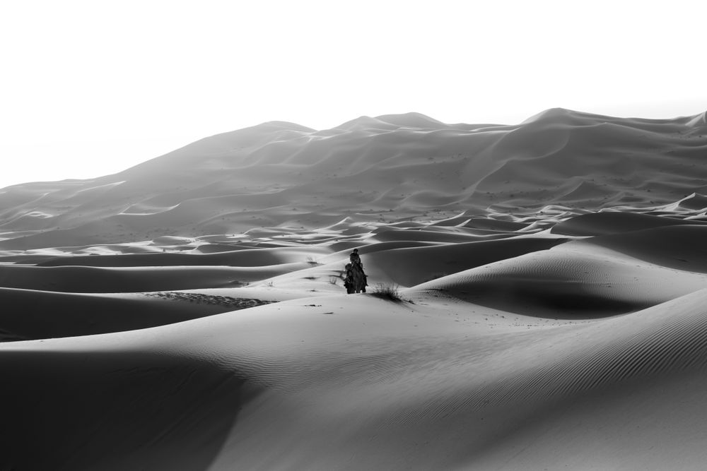 Journey in Sahara