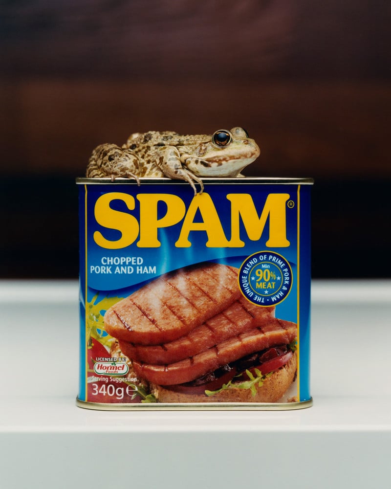 From "The Preppers Movement" © Charles Négre