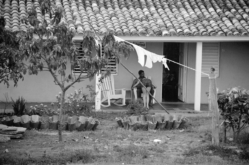 Cuba is alive