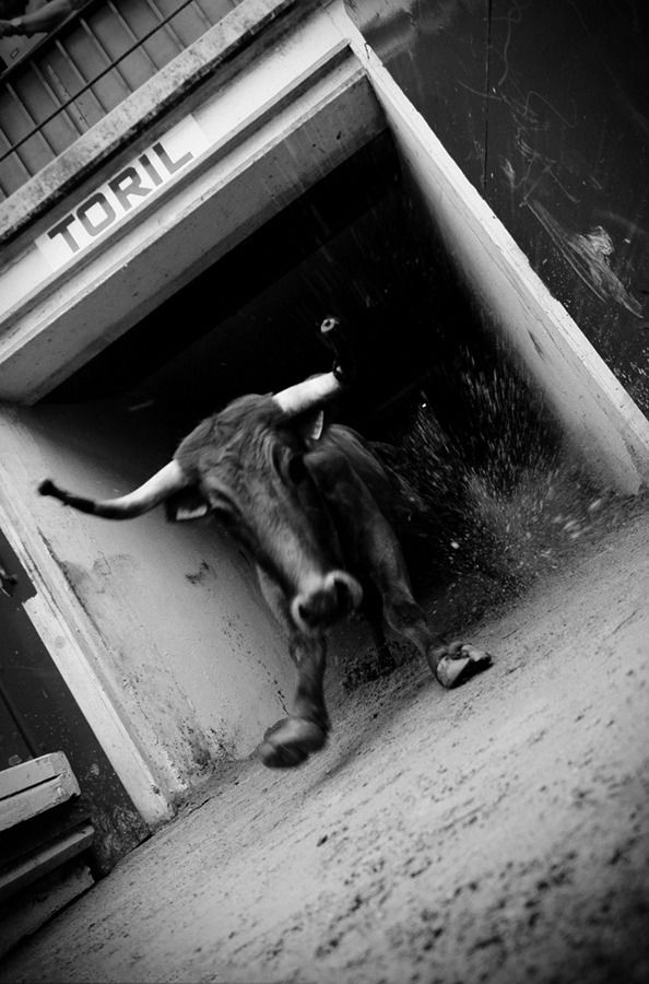 San Fermín