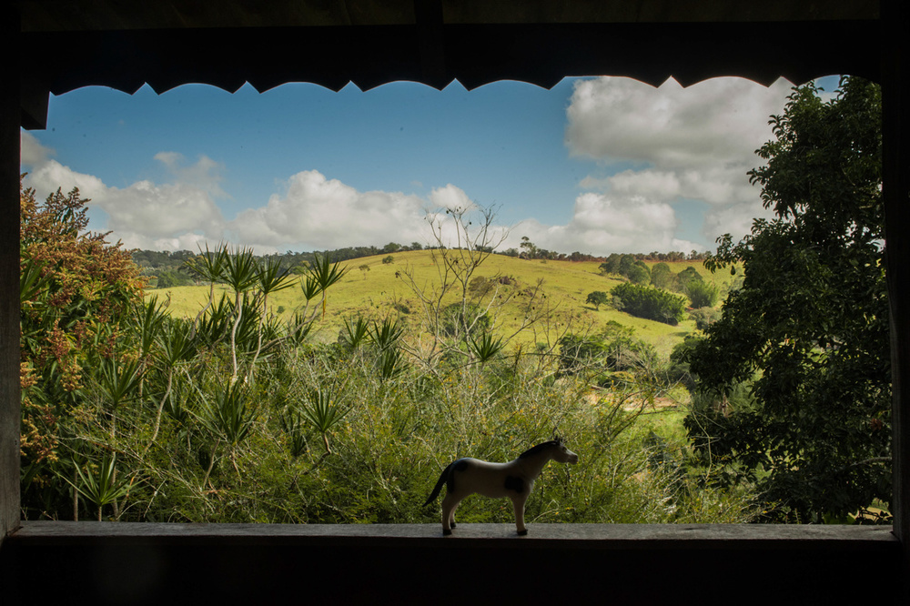 Transparencies of home