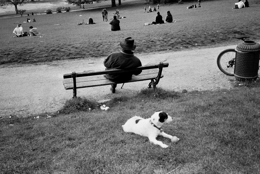 DES HISTOIRES SANS VISAGES
