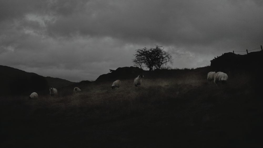 Chris Routledge - Submission | LensCulture