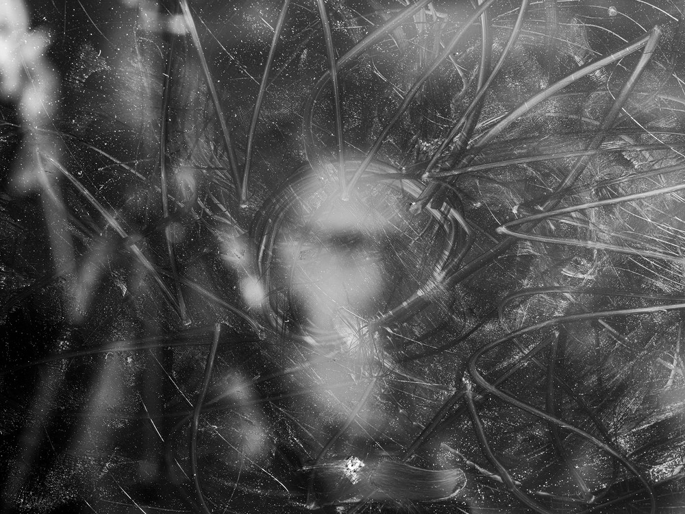 Trace.v02