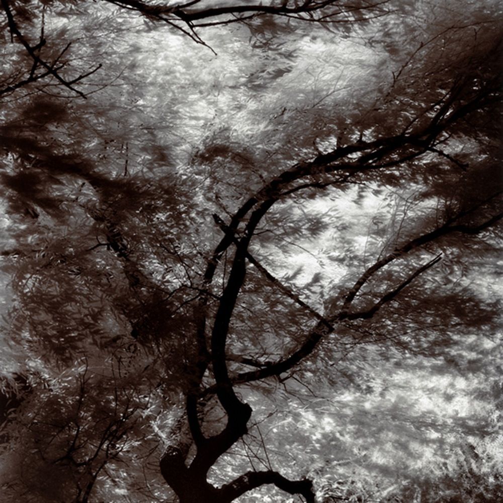 Emergence