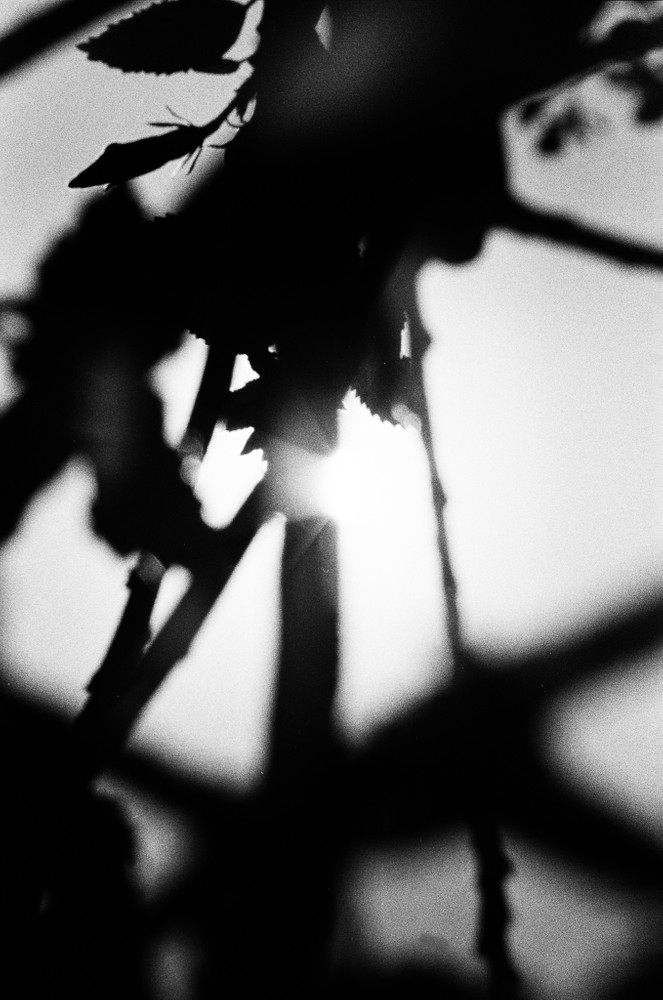 El sol ( The sun )