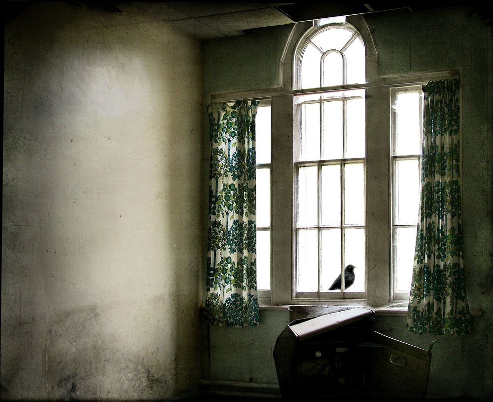 Inhabitants of abandoned places