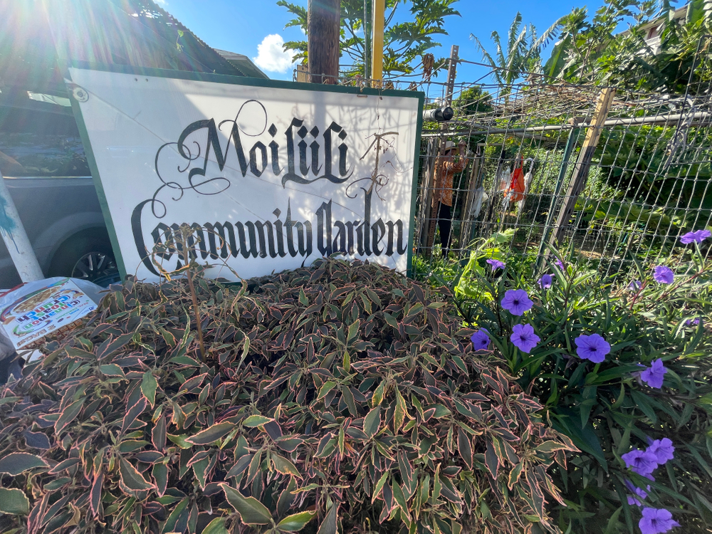 Mo' ili ili Community Garden