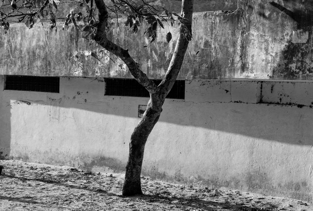 India mon amour