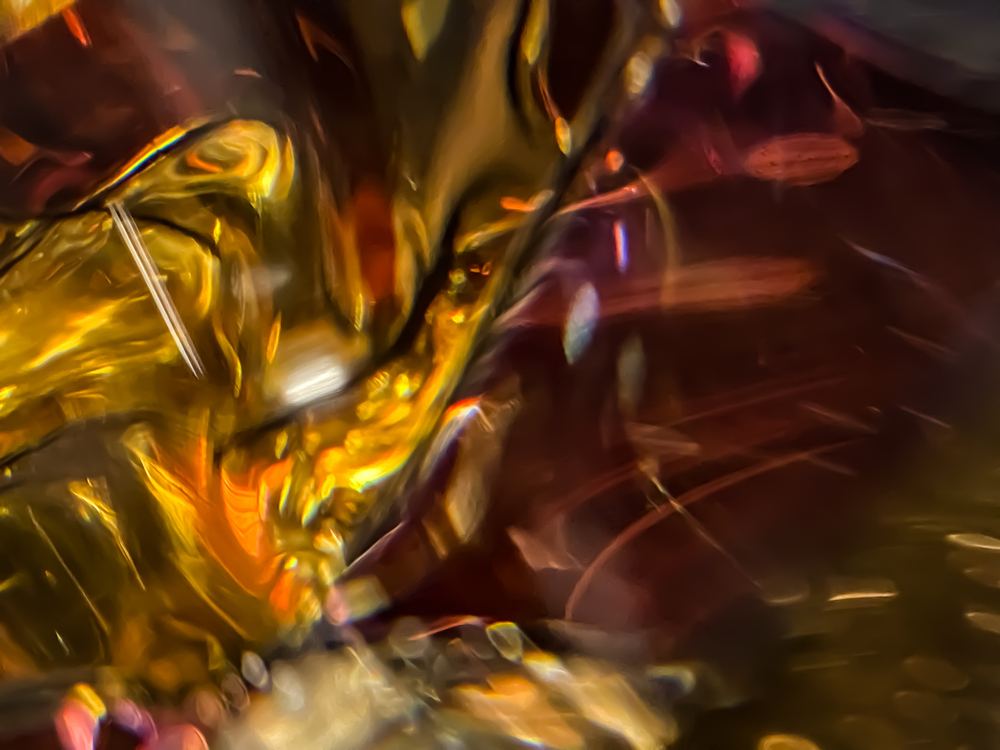 Distortions