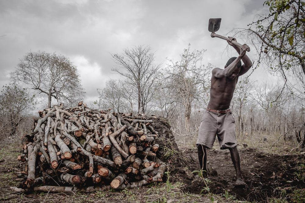 Charcoal: A Burning Story